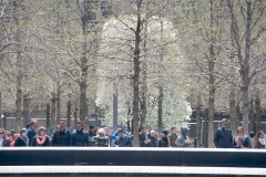 The Survivor Tree At WTC Complex