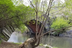 Side View Of Gapstow Bridge