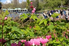 The Boat House