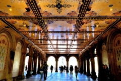 Stunning Architecture Of Bethesda Arcade