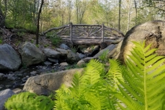 One Of Several Rustic Bridges In The Park