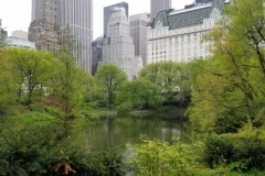 Looking SE Over The Central Park Pond