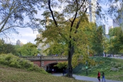 Another Beautiful Central Park Bridge