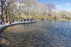 Conservatory Water Basin-Central Park