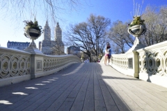 One Of Central Park's 5 Cast Iron Bridges