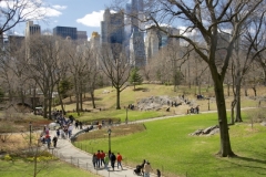 Greenery Returns To Central Park Each Spring