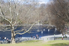 Conservancy Water-Central Park's Eastern Side