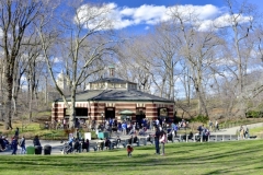 The Carousel-Central Park