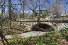 Glade Arch, In Central Park, Is One Of 36 Central Park Bridges Designed By Calvert Vaux copy