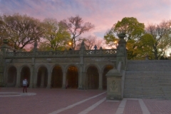 The Terrace Bridge-Central Park