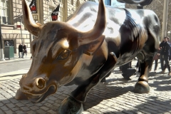 Charging Bull Sculpture-Lower Manhattan