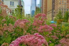 Gardens of Remembrance at Battery Park