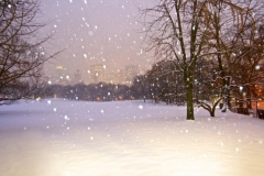 A Magical Central Park Snow Storm