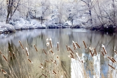 A Snowy, Icy Day At Central Park's Pond