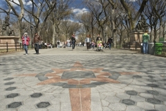 A Sunny Late Winter Day At Central Park's Mall