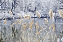 Central Park Is A Wintery Fairyland When Coated With Fresh Fallen Snow