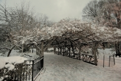 Central Park Passageway Coated With Fresh Fallen Snow