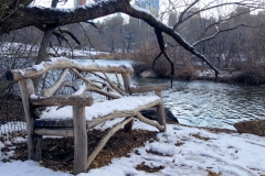 Central Park Solitude On A Snowny Day