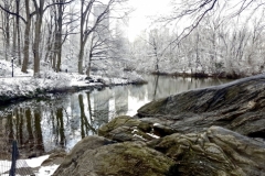 Central Park Winter At The Pond