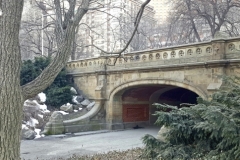 Central Park Winter's Are Still And Beautiful