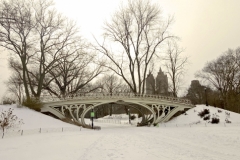 Central Park's Gothic Bridge On A Snowy Winter Day