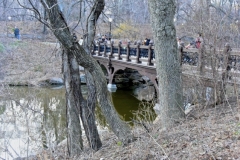 Central Park's Oak Bridge Spanning Bank Rock Bay