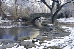 Gapstow Bridge In A Snowny Central Park