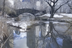 Pond Reflections At Central Park's Gapstow Bridge In Winter