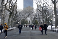 The Mall-Central Park Winter