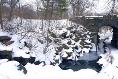 Winter In Central Park Can Be Beautiful