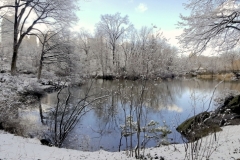 Winters In Central Park Can Be A Photographer's Paradise