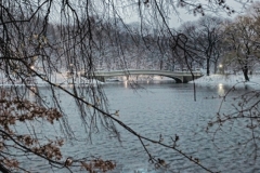 Wintery Scene Of Central Park's Beautifu Bow Bridge