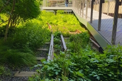High Line Looking North From Chelsea Market Passage