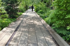 High Line Walk Thru Chelsea Thicket