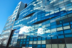 Modern Buildings Visible From High Line Park