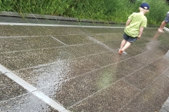 Staying Cool On The High Line