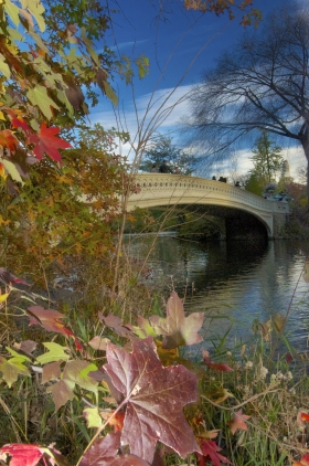 Central Park's Gorgeous Bow Bridge In Early Autumn