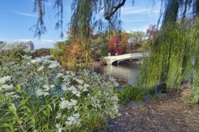 The Bow Bridge Is Central Park's Most Photographed Bridges For Good Reason